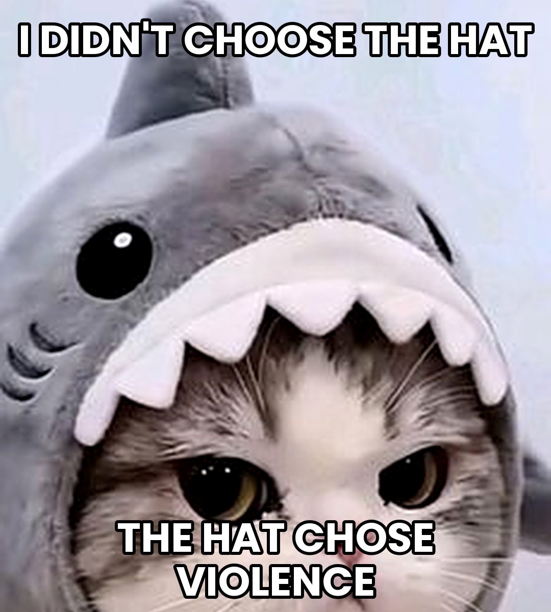 i didn't choose the hat, the hat chose violence