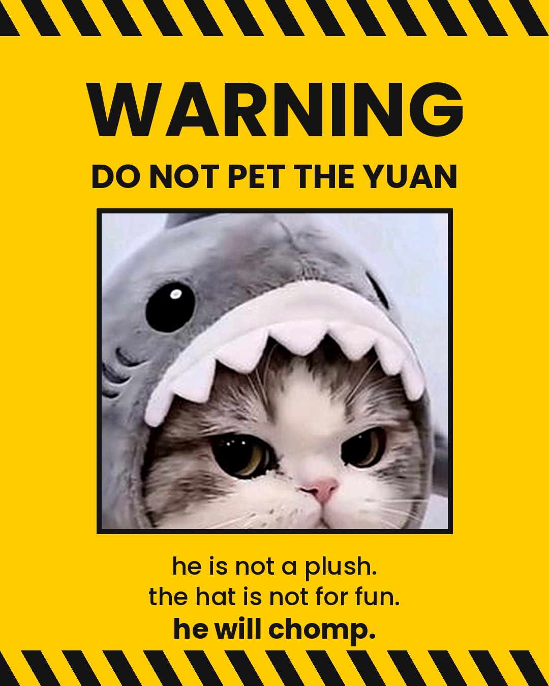 warning: do not pet the yuan